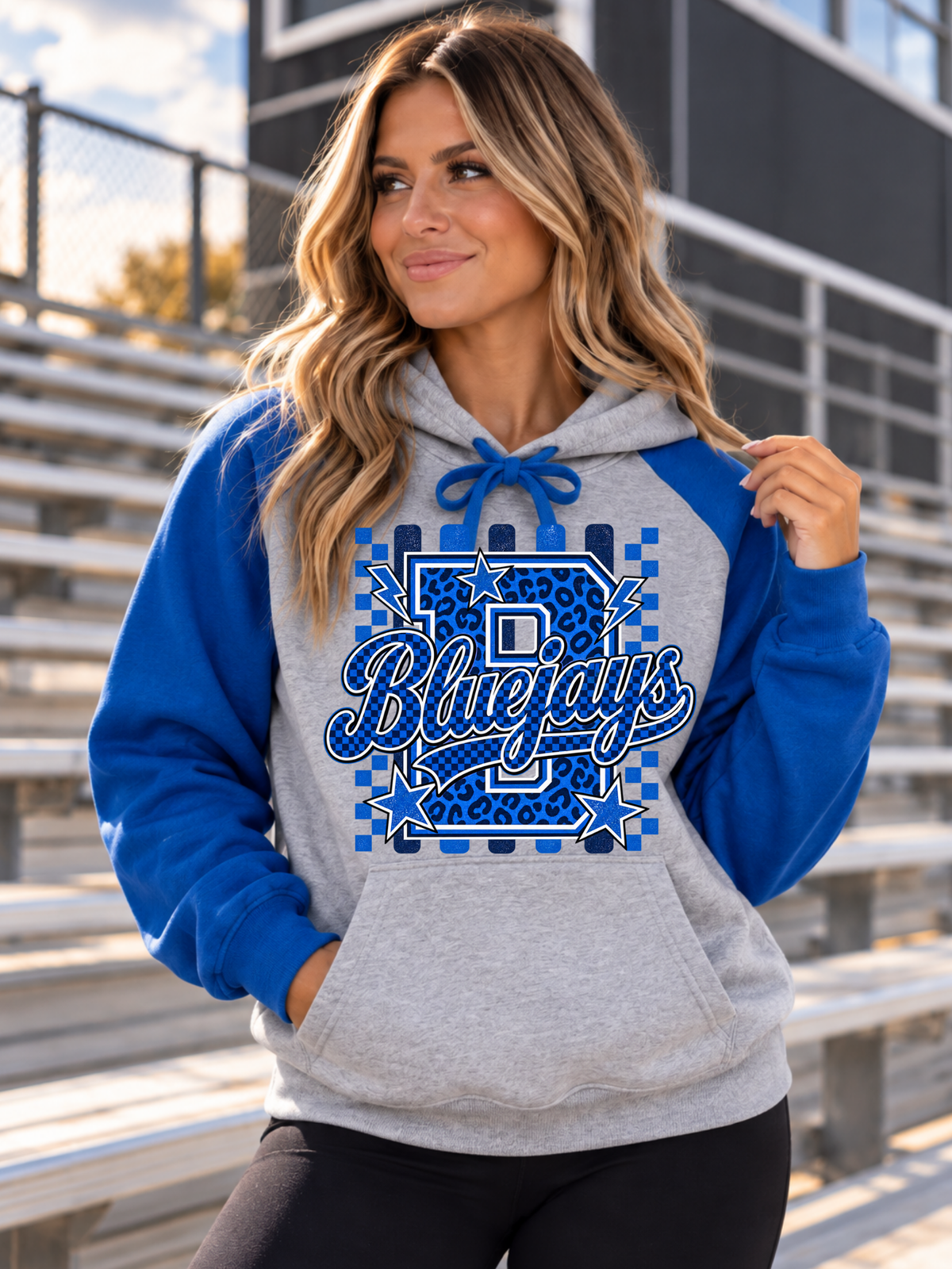 Bluejay Wild Side  Varsity Colorblock Hooded Sweatshirt