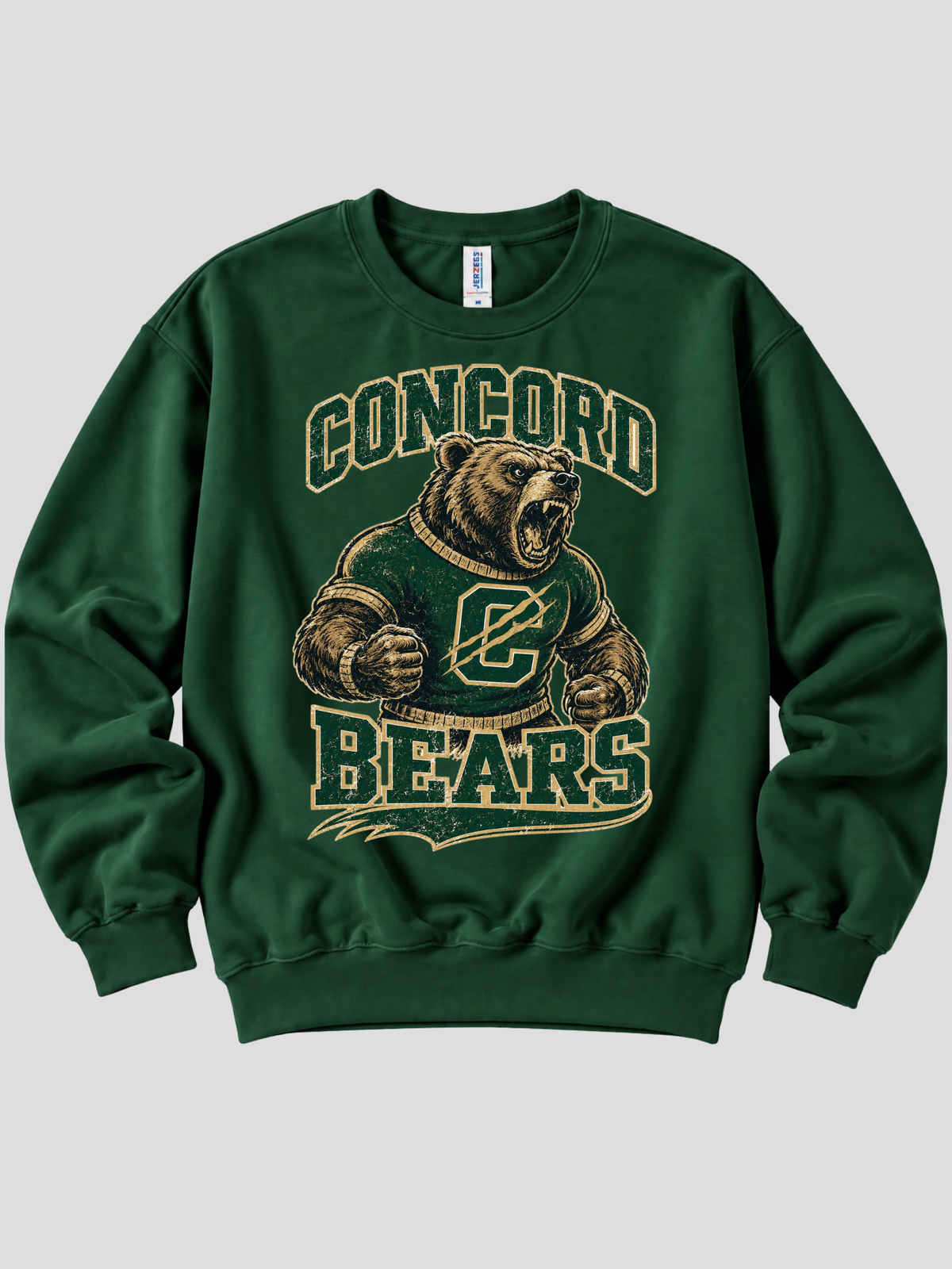 Vintage Concord Varsity Bear