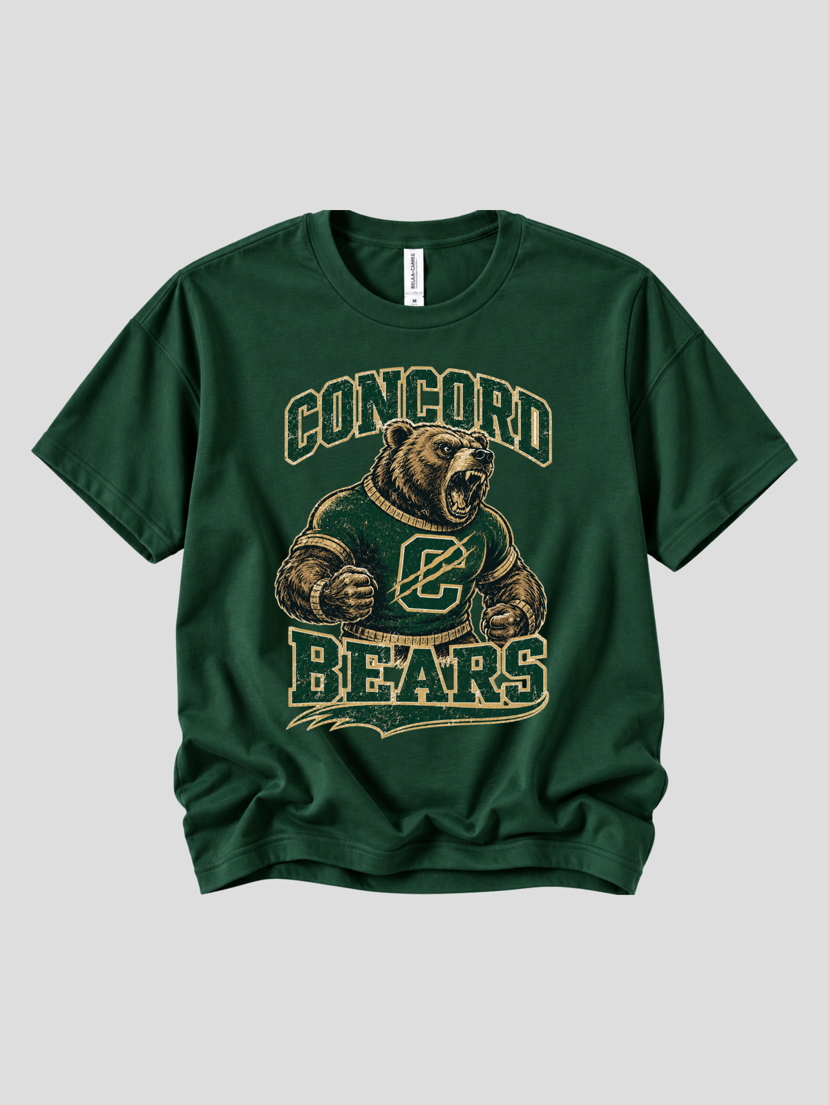 Vintage Concord Varsity Bear